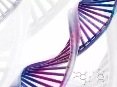 基因检测科技 平凉美年大健康为您的健康精准护航