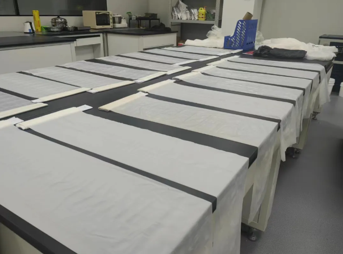 南通生物制造的奇幻密码 从细胞工厂到基因探针